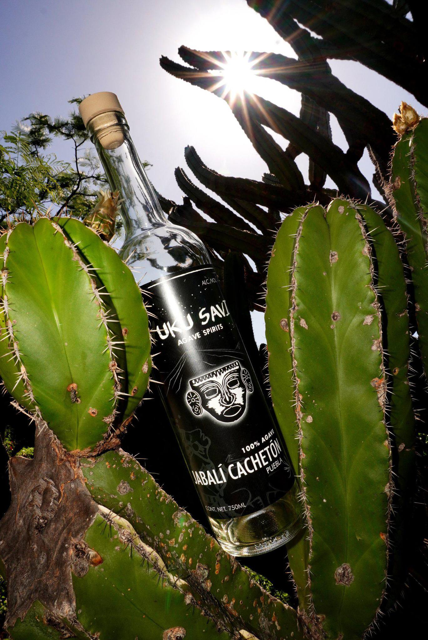 Yuku Savi - 'Jabali Cacheton' Mezcal (Jabali | 750ML).