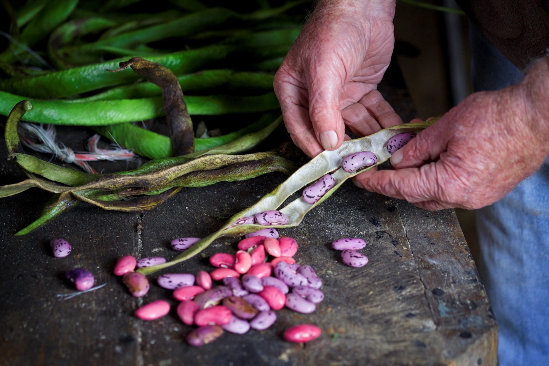 How to Cook Heirloom Beans: Tips and Recipes for Delicious Meals - The Epicurean Trader