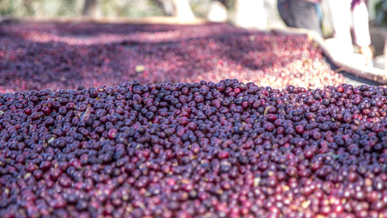 The Unique Taste of Huck It Beer Explained - The Epicurean Trader