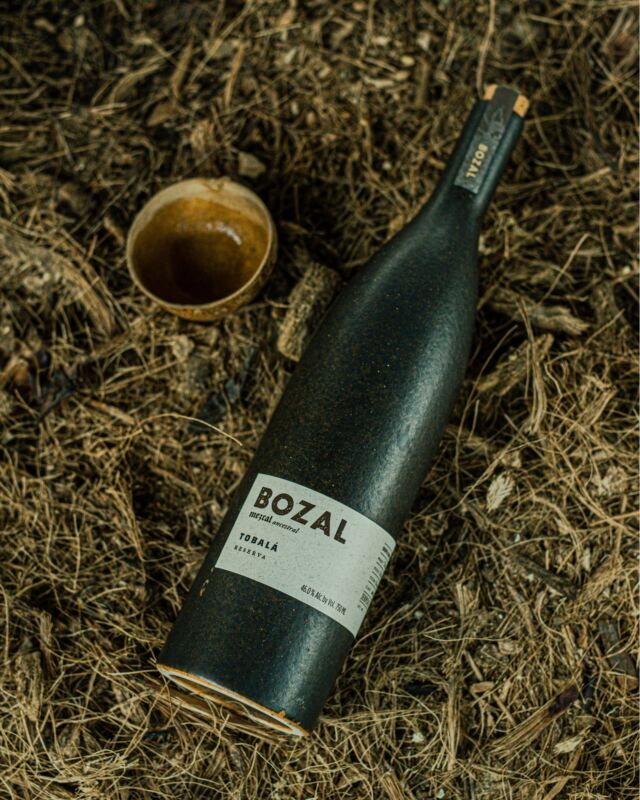 Bozal - The Epicurean Trader