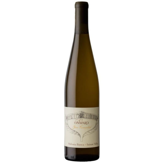 Onward Wines - Skin-Fermented Malvasia Bianca (750ML).