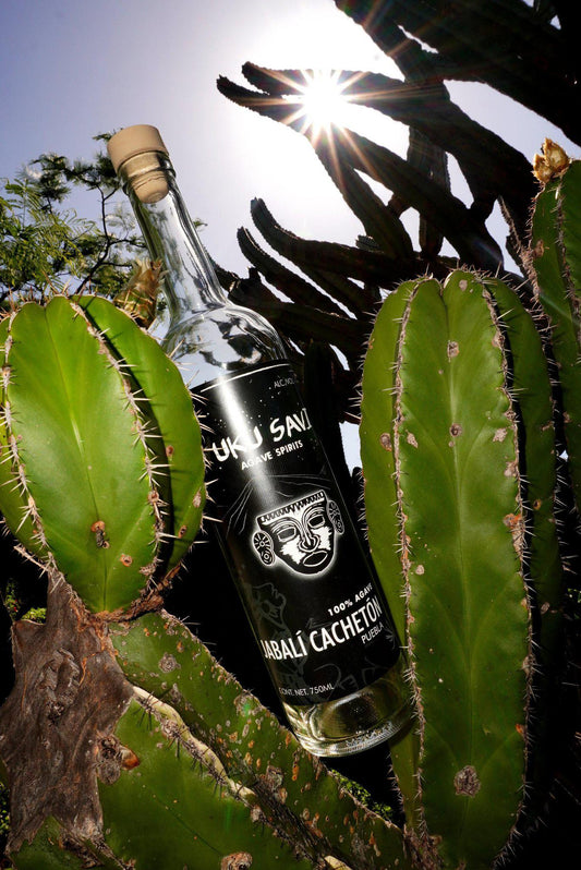 Yuku Savi - 'Jabali Cacheton' Mezcal (Jabali | 750ML).