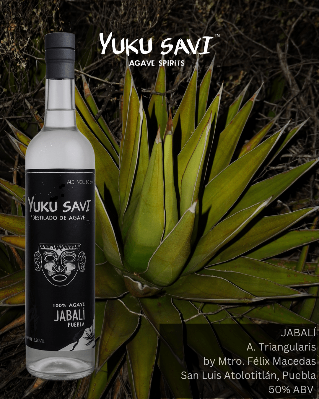 Yuku Savi - 'Jabali' Mezcal (Jabali | 750ML).