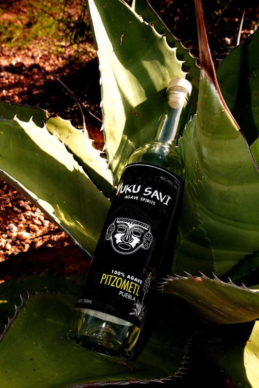 Yuku Savi - 'Pitzometl' Mezcal (Pitzometl| 750ML).